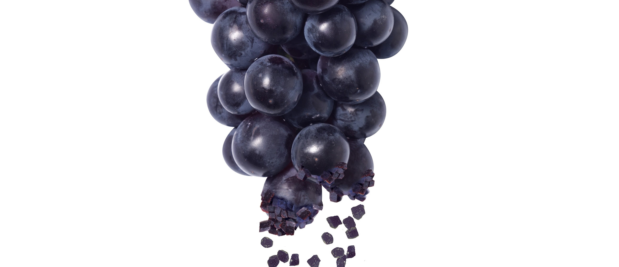 Welchs Grape Morph
