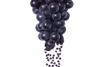 Welchs Grape Morph
