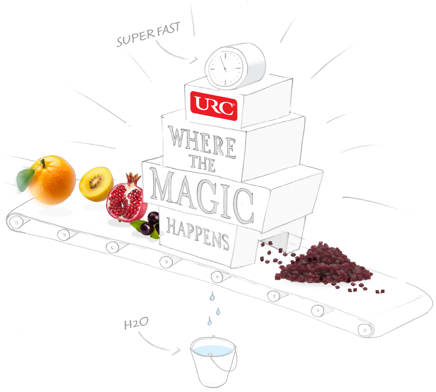 where the magic happens FA